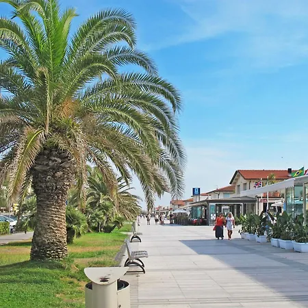 Lido Versilia By Interhome Apartament Lido di Camaiore